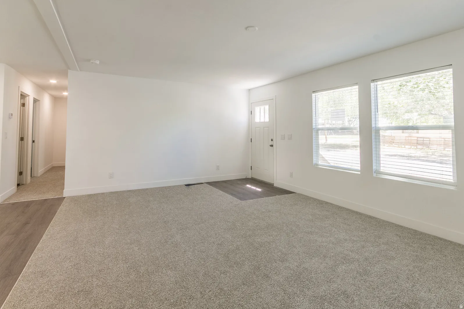Spacious room with light gray carpet and wood-finish flooring