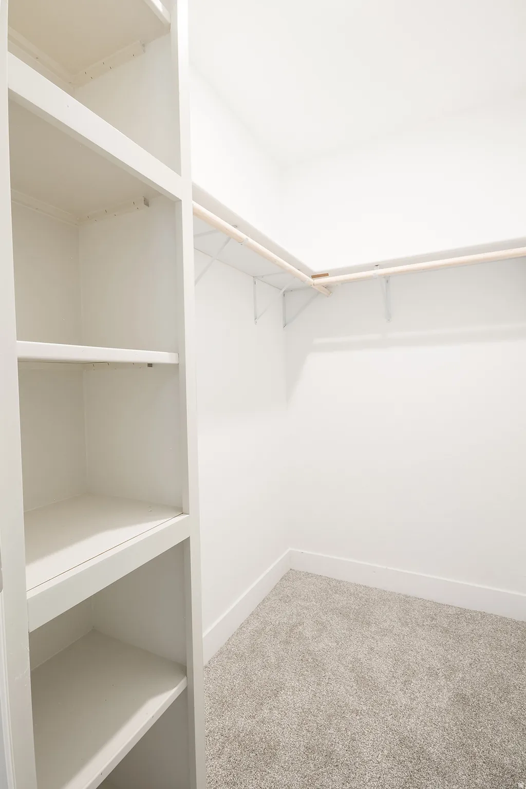 Walk-in closet featuring built-in shelving, white walls, light gray carpet, white baseboards, and a garment rod with wire shelving