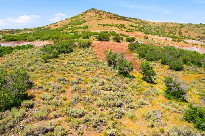 Expansive natural landscape featuring rolling hills, varied scrub brush, and a clear sky backdrop