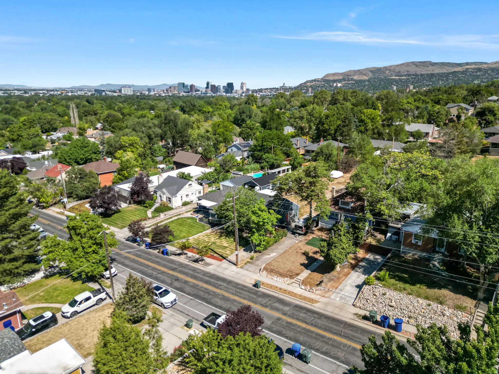 Aerial perspective of a tree-lined neighborhood with varied architectural styles