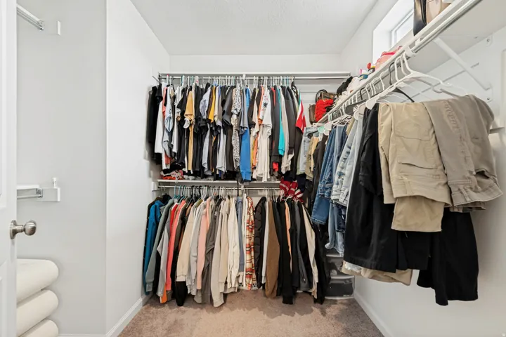 Walk-in closet with carpet flooring, a window, and built-in metal shelving
