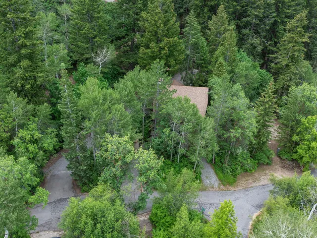 Aerial views of cabin