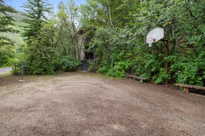 Outdoor volleyball court space with a basketball hoop, surrounded by mature trees and natural landscaping