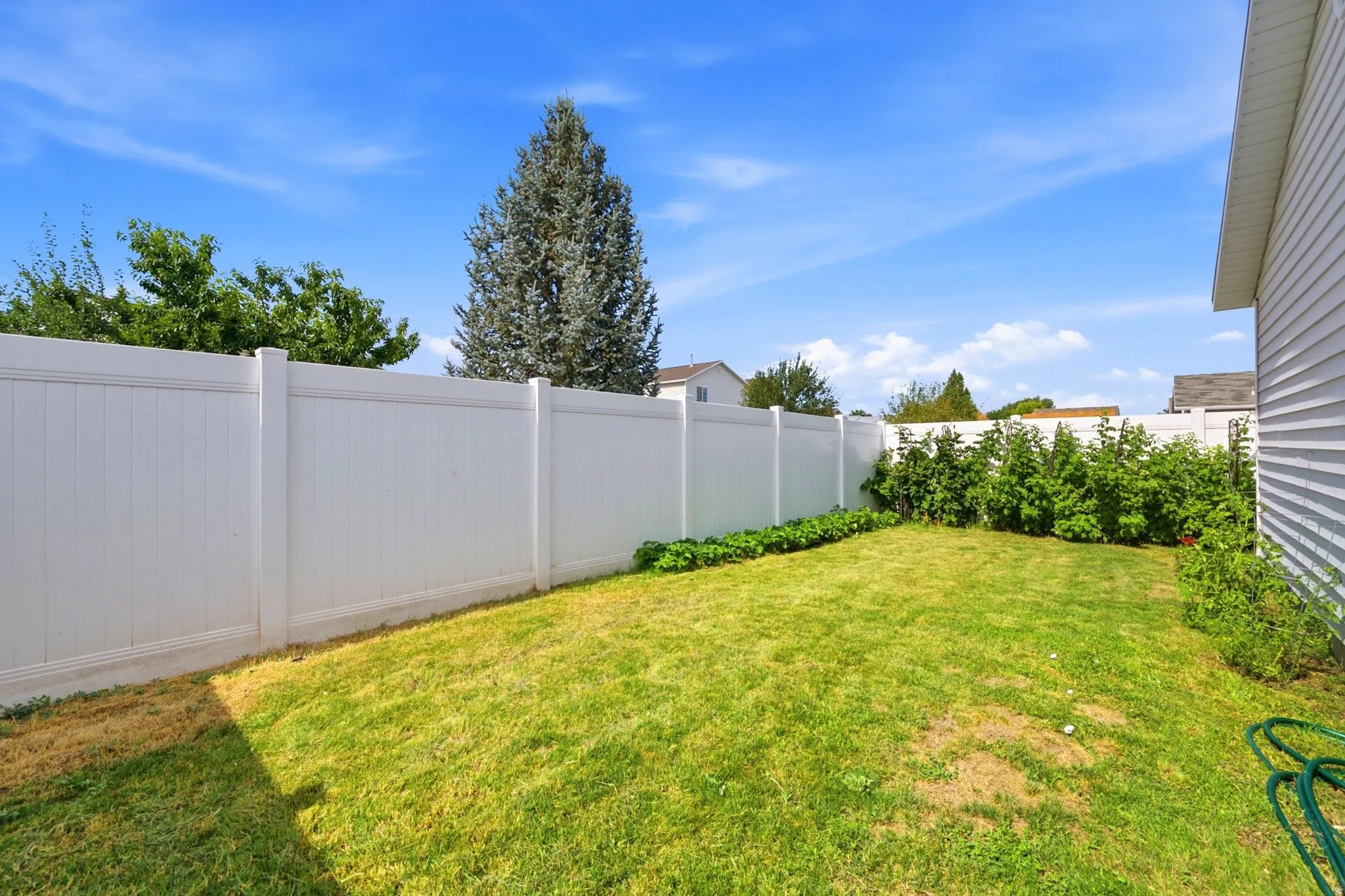 Private backyard featuring a well-maintained lawn and a full privacy fence