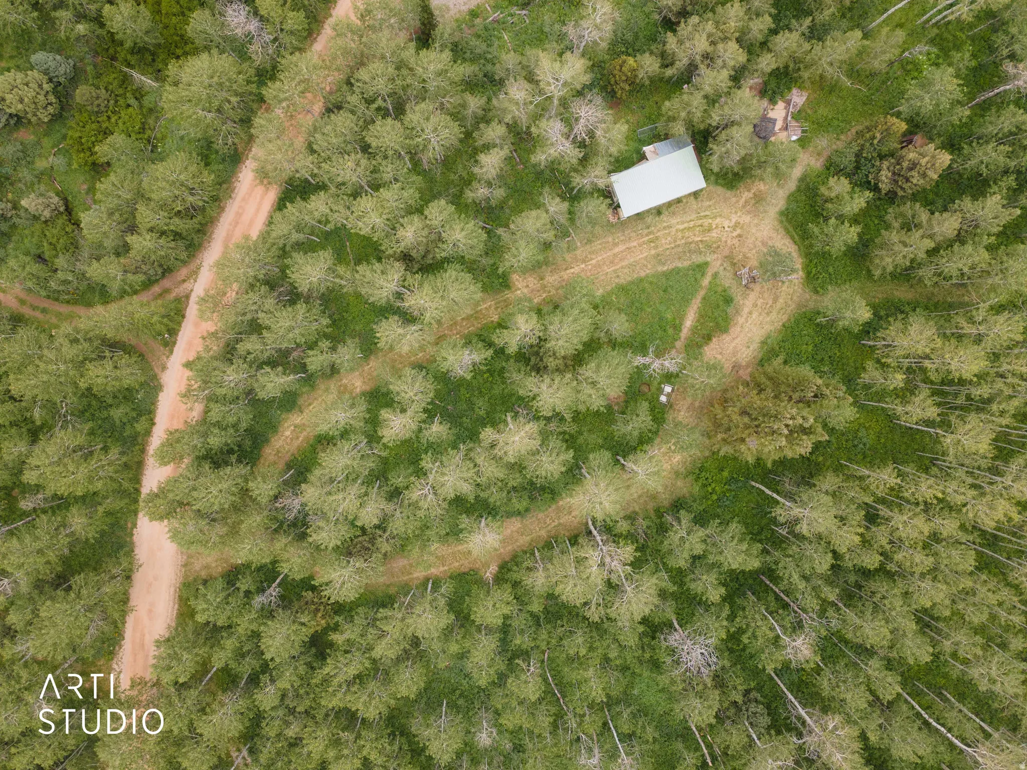 Wooded property featuring a single structure with a light-colored metal roof