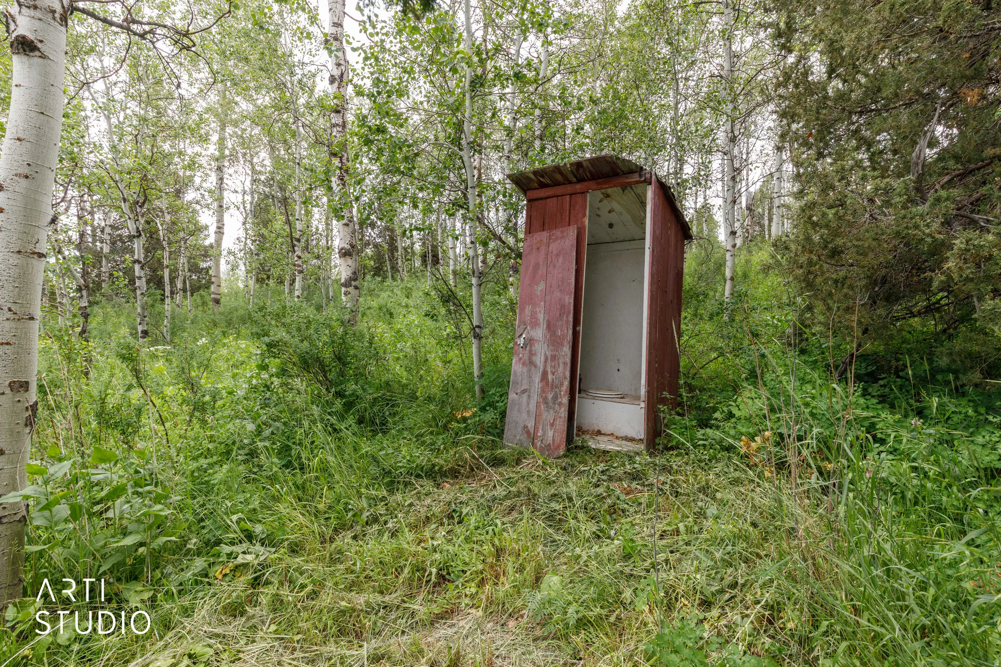 Wood-sided outbuilding situated within a wooded clearing, surrounded by a natural growth of trees and vegetation