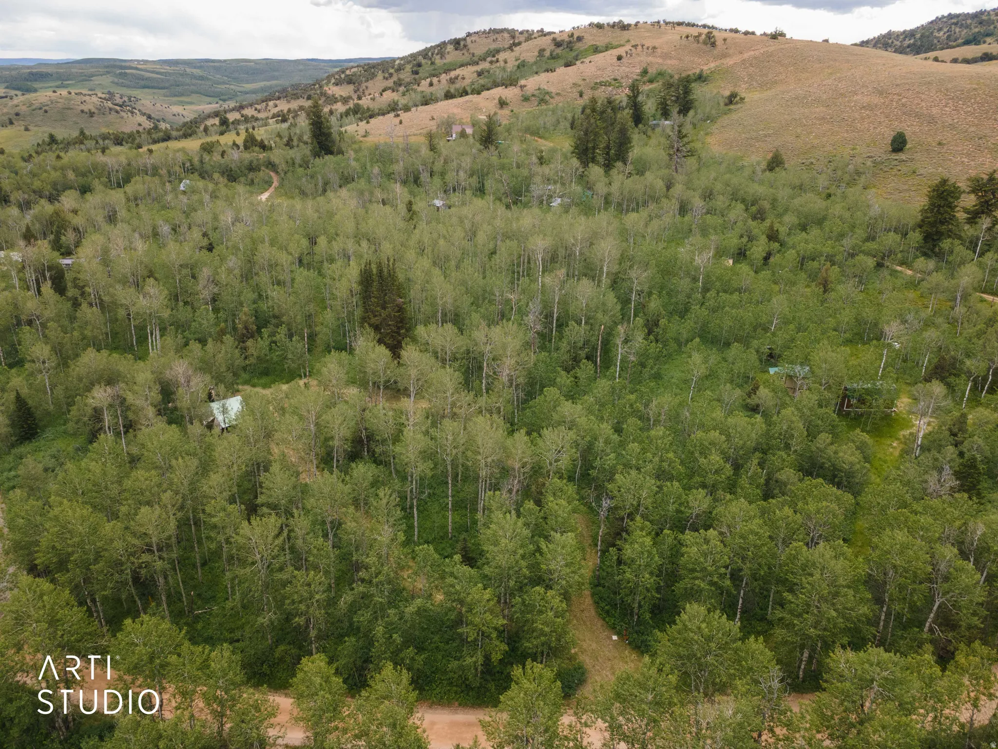 Expansive wooded property featuring mature trees and a gently sloping terrain