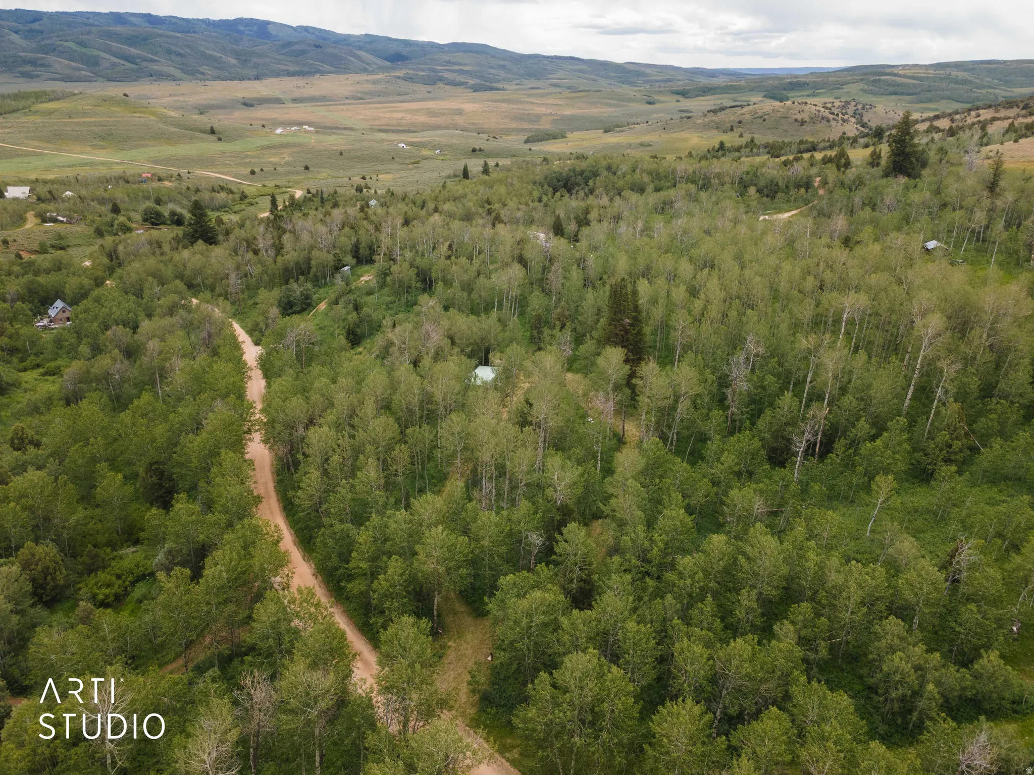Heavily wooded Quakie estates