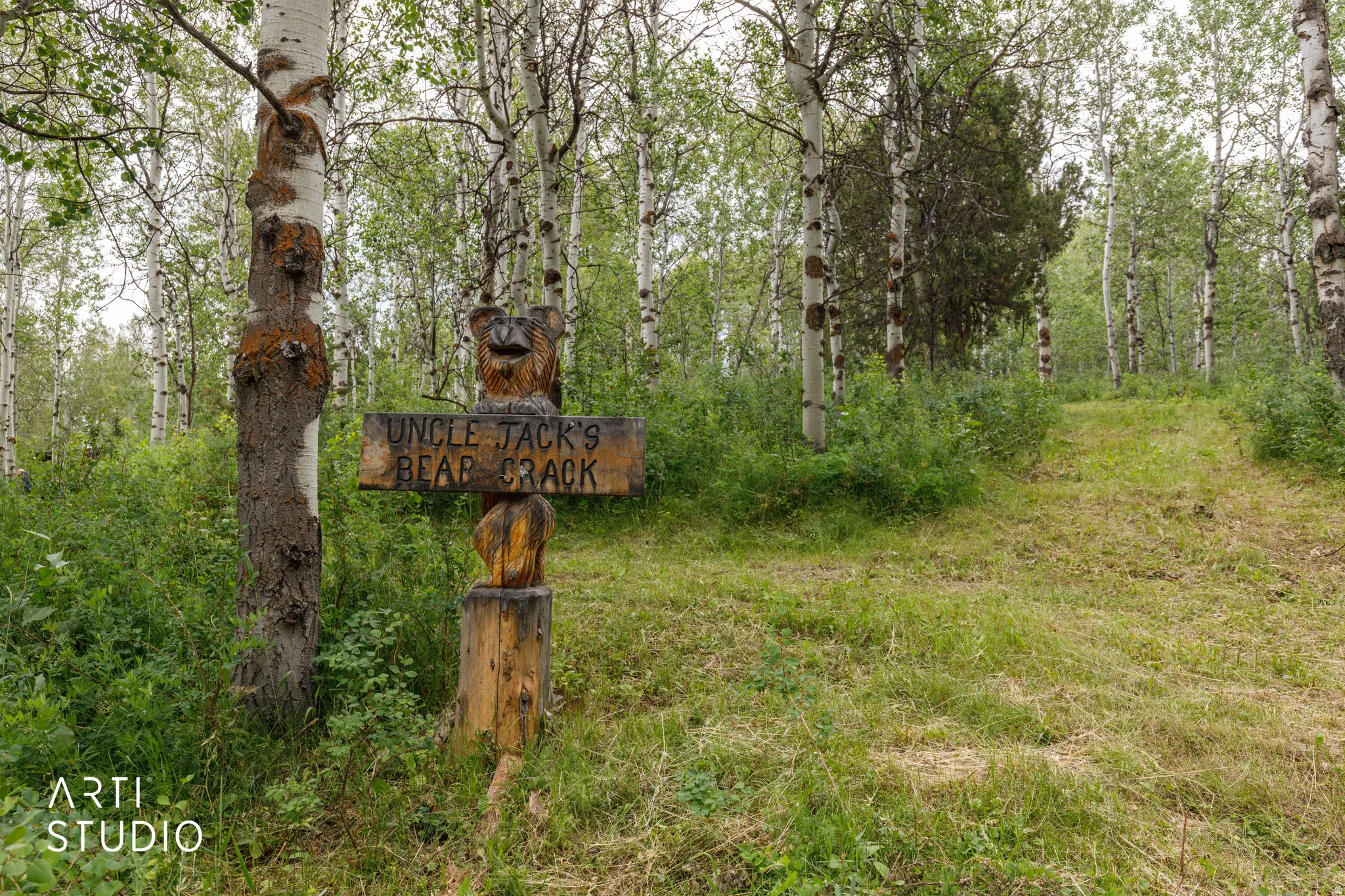 Wood-carved signpost featuring a bear motif, set against a backdrop of mature trees
