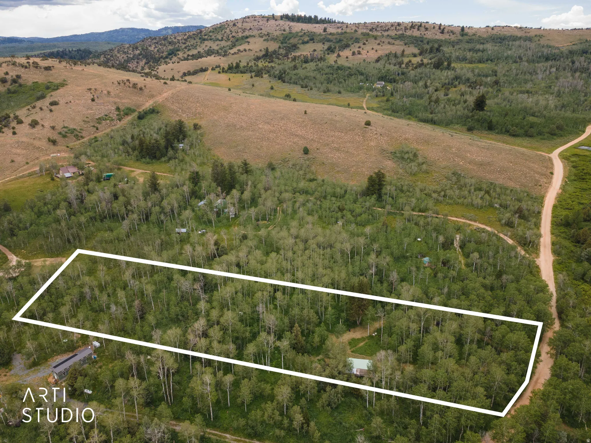Expansive wooded lot featuring mature trees and a dirt road