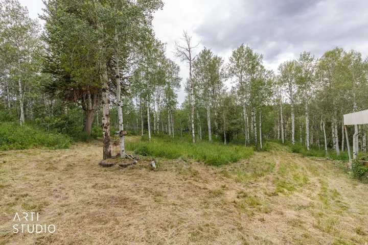 Circle drive surrounded by Expansive outdoor area featuring mature trees and natural landscaping