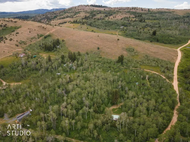 Expansive, wooded acreage featuring a mix of deciduous and evergreen trees