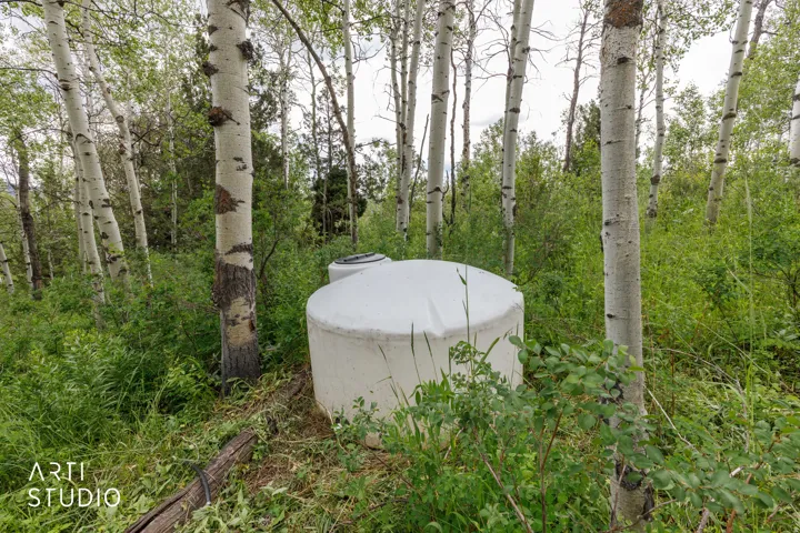 Water tank situated within a wooded area featuring mature aspen trees and dense undergrowth