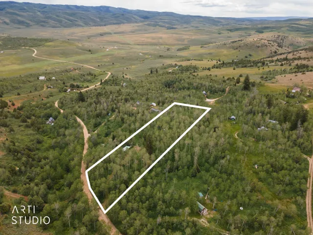 Expansive wooded lot offering varied topography