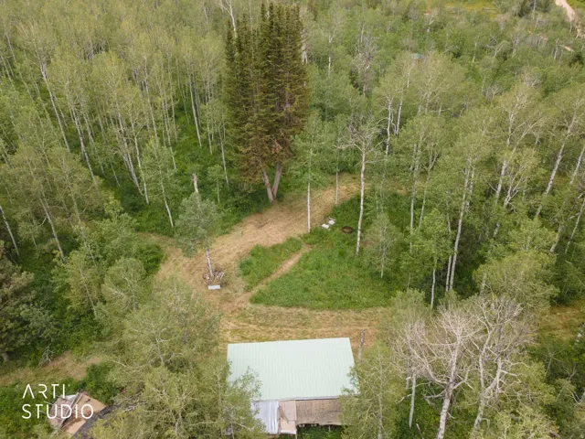 Aerial perspective showcasing a property surrounded by dense forest