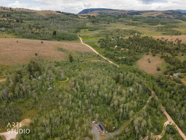 Expansive wooded acreage featuring mature trees and established dirt roads