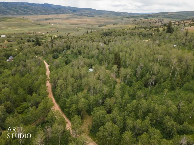 Heavily wooded Quakie estates