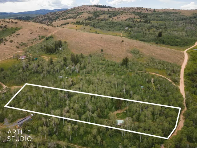Expansive wooded lot featuring mature trees and a dirt road