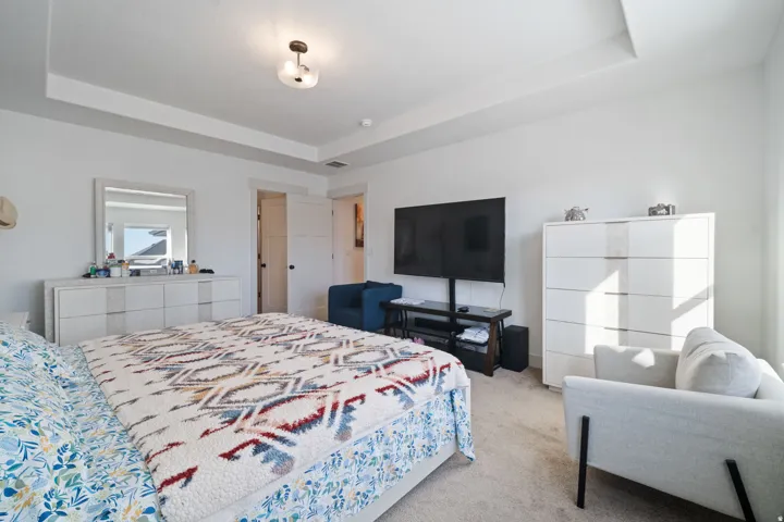 Spacious bedroom featuring a tray ceiling, light-toned carpeting, white walls, and a ceiling-mounted light fixture