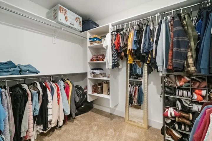 Walk-in closet featuring white walls, integrated shelving, metal hanging rods, and carpet flooring