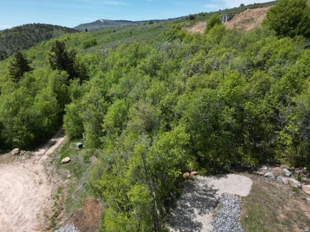 Aerial view of mountains and a forest