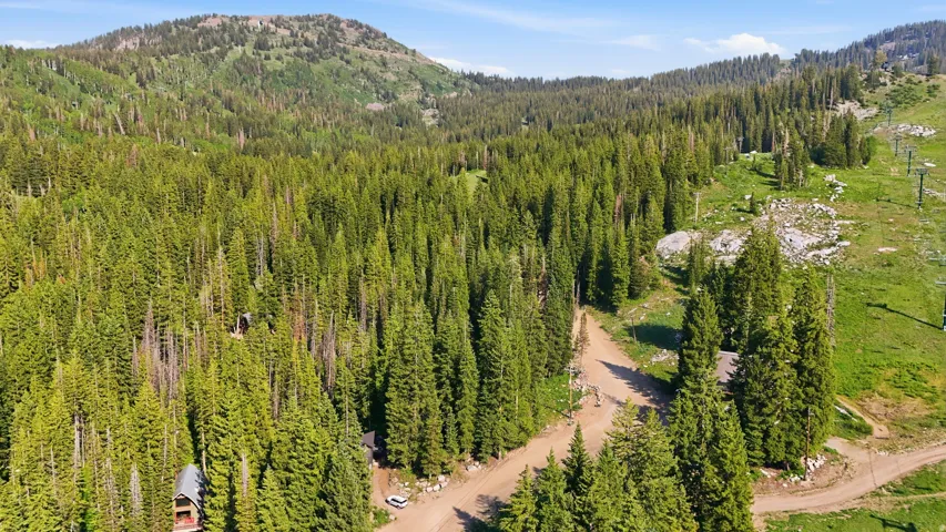 Expansive mountainous terrain featuring dense evergreen forest, a distinct dirt road, and visible ski lift infrastructure