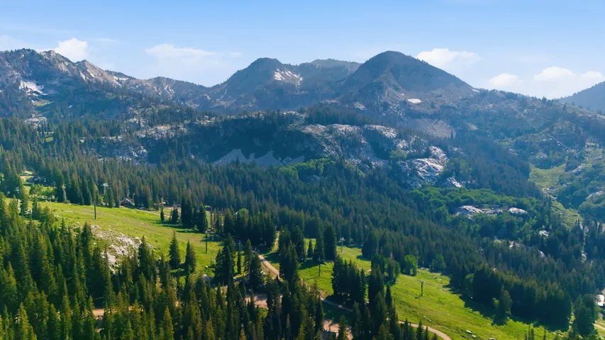 Mountainous terrain featuring dense evergreen forests and patches of snow