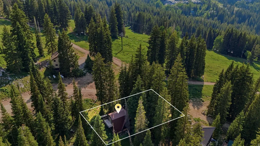 Aerial perspective of a mountain property surrounded by abundant evergreen trees