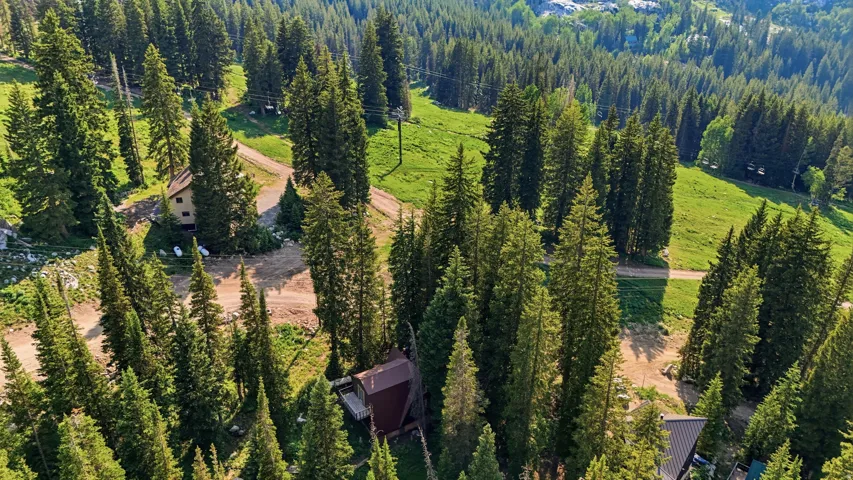 Expansive mountain terrain with dense evergreen forests and visible clearings