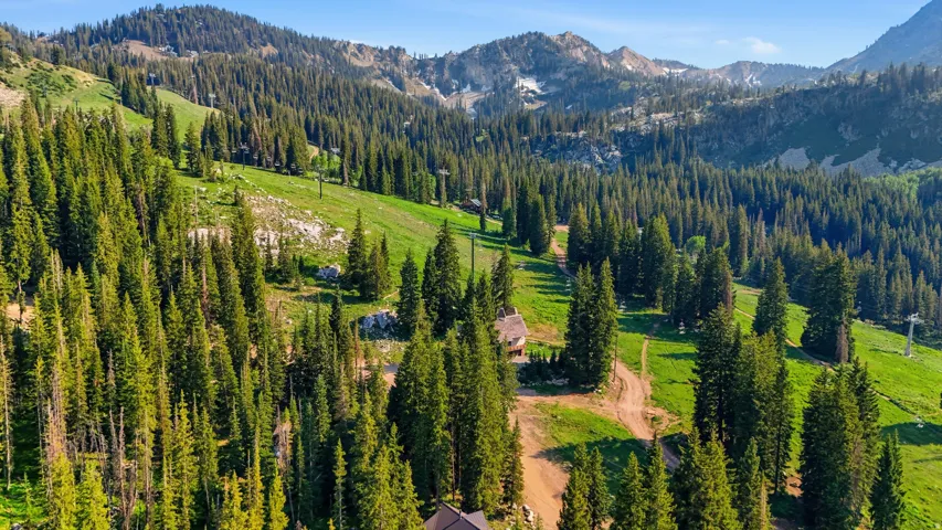 Mountain landscape featuring extensive evergreen forests, open grassy slopes, distant mountain peaks, and a clear sky