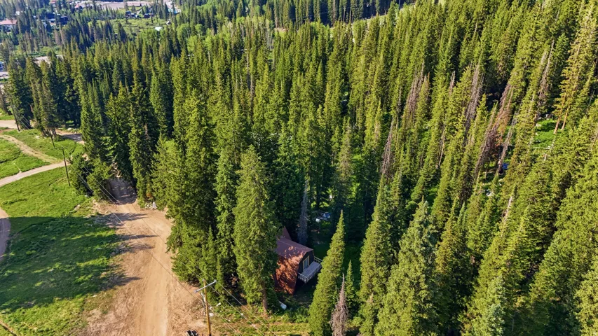 Secluded cabin nestled amongst dense evergreen trees