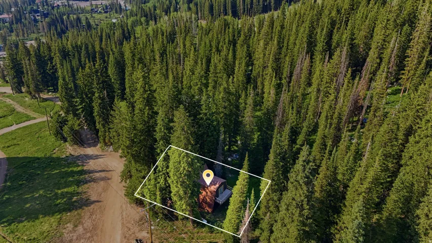 Secluded cabin nestled within a dense evergreen forest