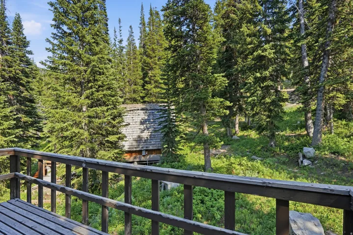 Wood deck with a slatted floor and sturdy railing, surrounded by lush green foliage and mature evergreen trees