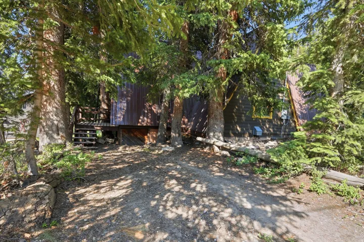 Wood-clad exterior with a dark finish