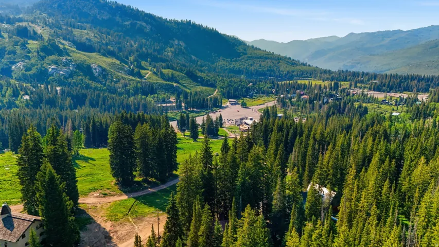 Mountainous terrain featuring abundant coniferous trees, open grassy areas, and distant structures