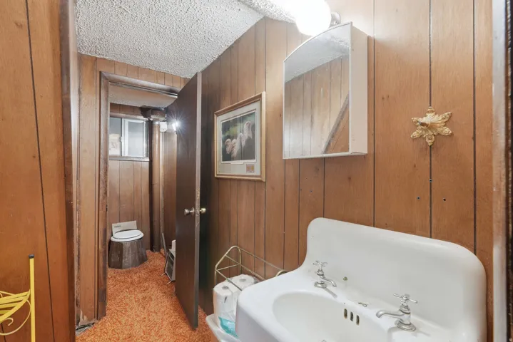 Bathroom featuring wood paneling, an orange textured carpet, and a white wall-mounted sink with dual faucets