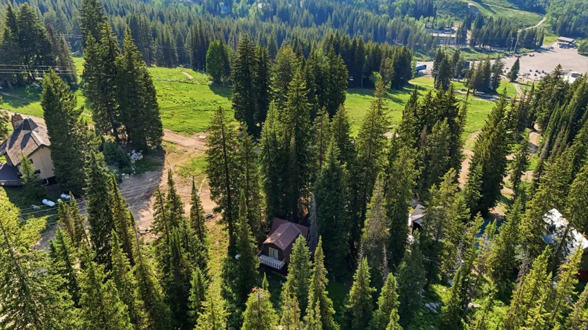 Wooded property with multiple structures nestled among mature evergreen trees