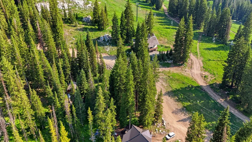 Expansive acreage featuring multiple structures, mature evergreen trees, and unpaved access paths