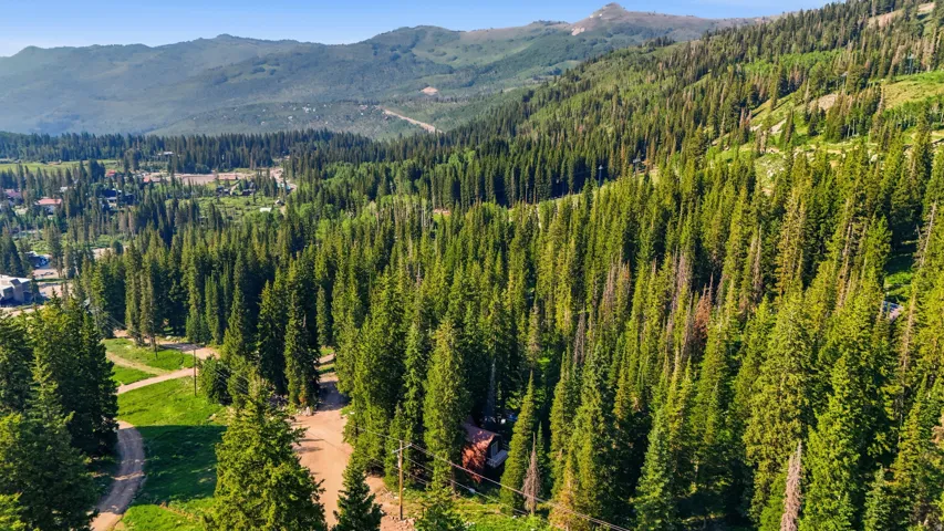 Expansive mountain terrain with dense evergreen forests