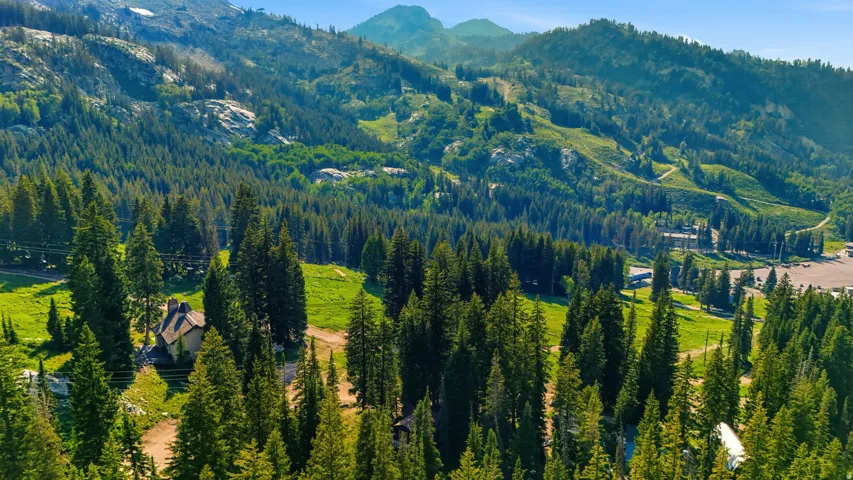 Mountain landscape featuring a central cabin with a sloped roof, surrounded by dense evergreen trees and verdant hillsides