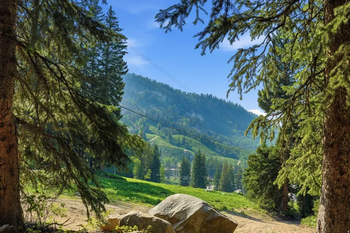 Mountain landscape featuring evergreen trees and natural rock formations