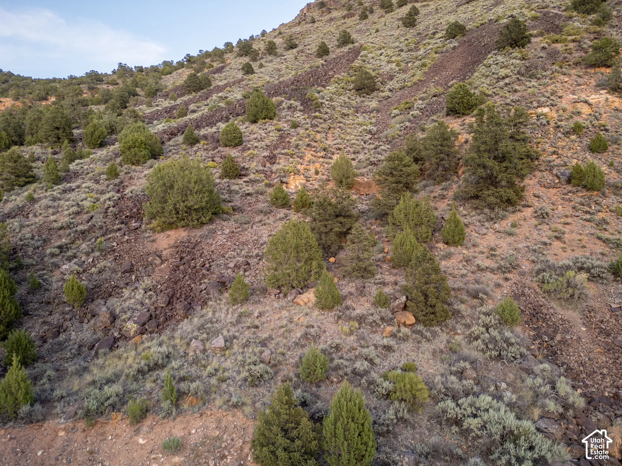 Expansive hillside lot featuring natural rock formations, varying shrubbery, and scattered evergreen trees