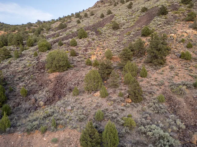 Expansive hillside lot featuring natural rock formations, varying shrubbery, and scattered evergreen trees
