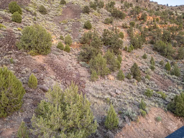 Rocky hillside terrain featuring varied native vegetation, including numerous juniper trees and low-lying shrubs