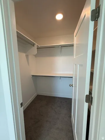 Walk-in closet featuring built-in shelving, hanging rods, and carpet flooring