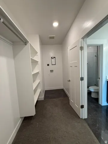 Built-in shelving, hanging rod, recessed lighting, and a white interior door with dark hardware