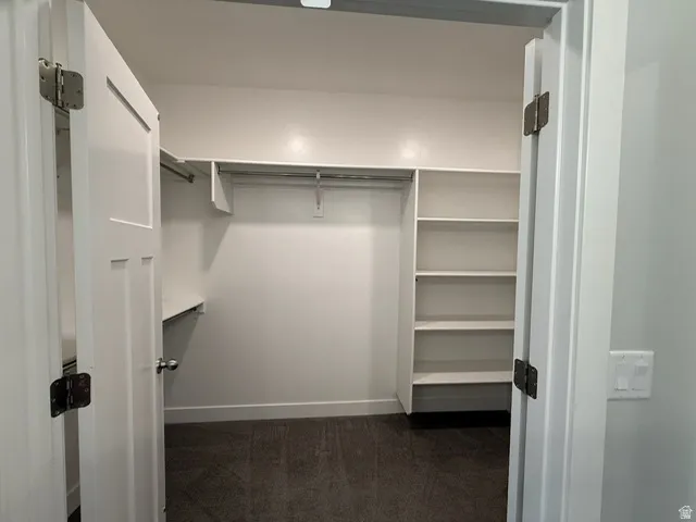 Built-in shelving, hanging rods, and carpeted flooring