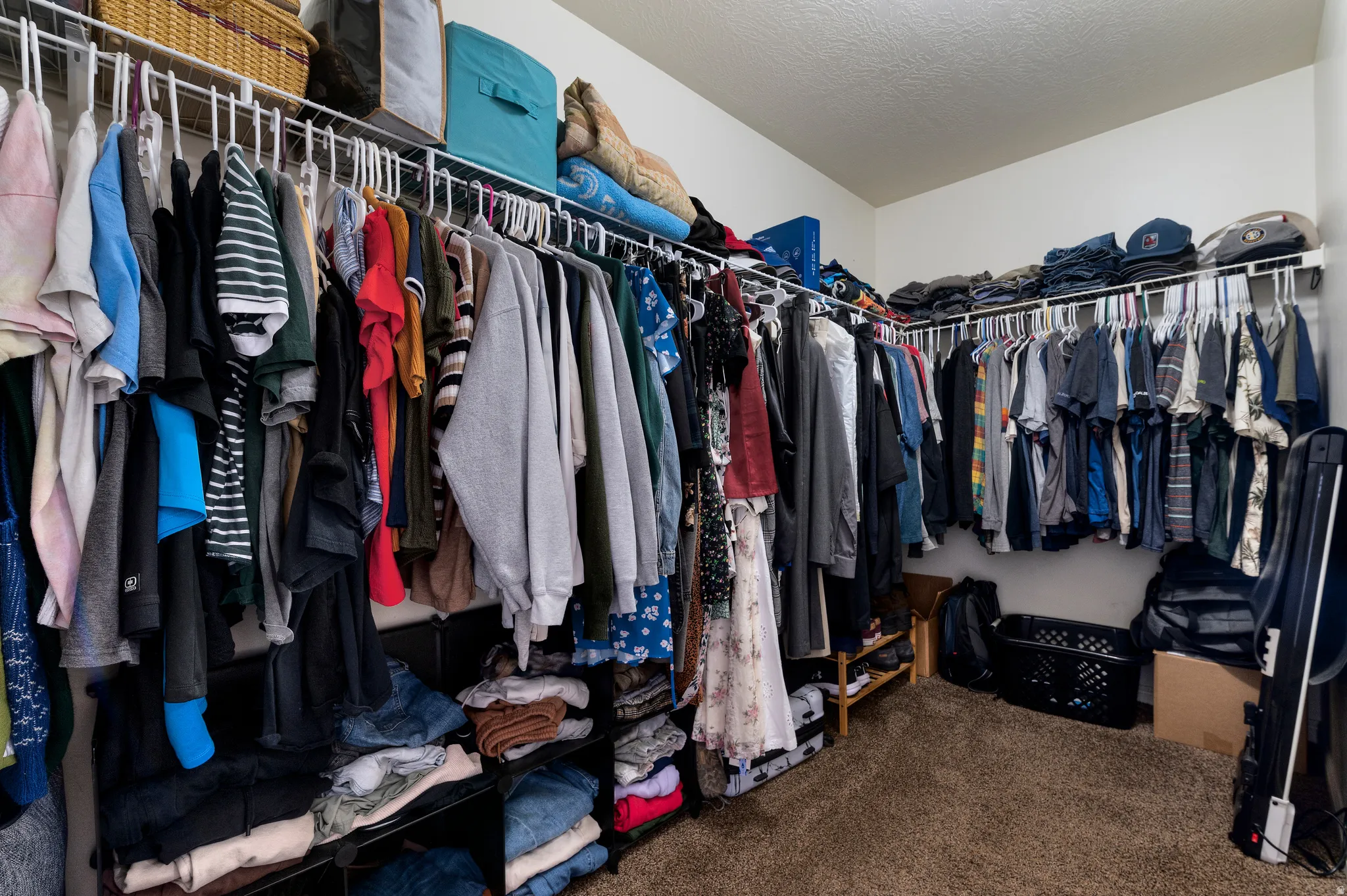 Spacious walk-in closet featuring wire shelving, built-in clothing racks, and carpet flooring