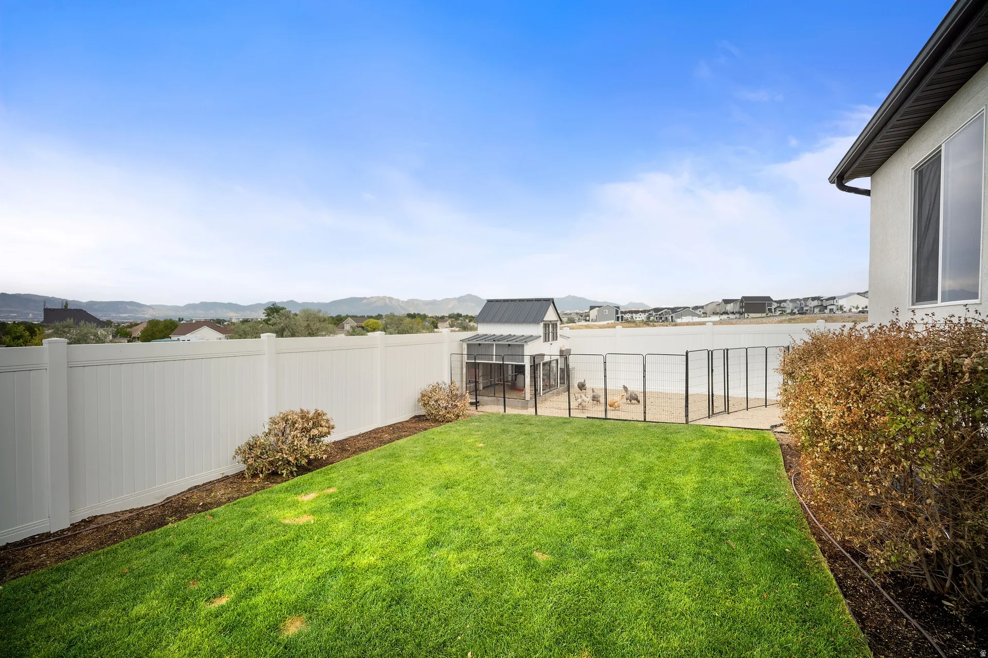 Expansive backyard featuring a manicured lawn, white privacy fencing, and established shrubbery