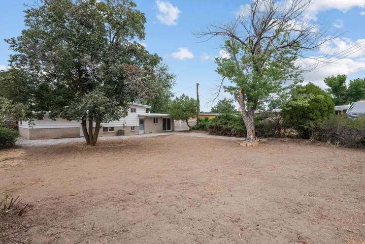 Spacious backyard with mature trees and a gravel pathway leading to the residence